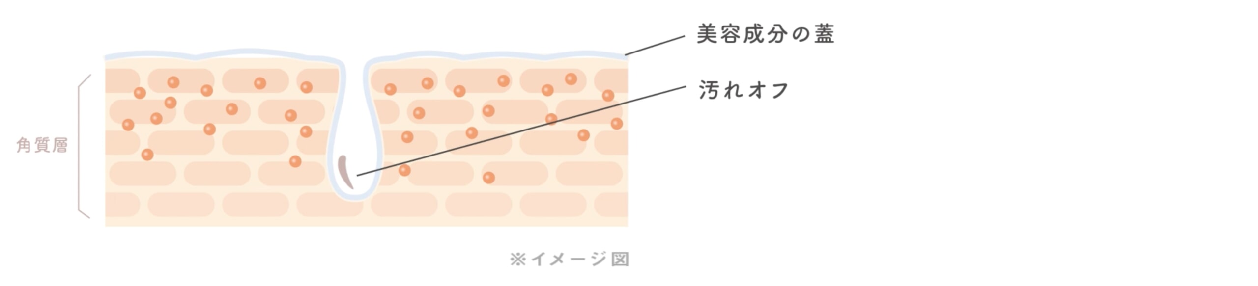 ⑤図解_クリアカプセルの仕組み_洗浄後_イラストイメージ_PCver